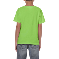 Heavy classic custom t-shirt for kids, Kid's T-shirts, Size: XS, Color: White, Size: XS, Color: Black, Size: XS, Color: rosu, Si
