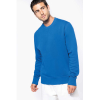 Bluza groasa KAZ442, Men's Sweatshirts, Size: XS, Color: Royal, Size: S, Color: Royal, Size: m, Color: Royal, Size: IT, Color: R