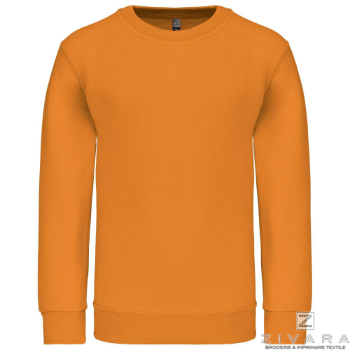 Bluza groasa pentru copii KAZ475, Kids Sweatshirts, Size: 4/6, Color: Charcoal, Size: 6/8, Color: Charcoal, Size: 8/10, Color: C